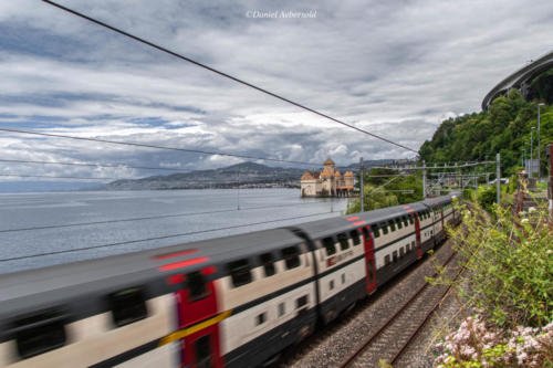 Léman 