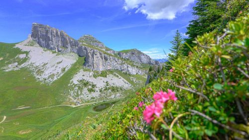 La tour d'Aï