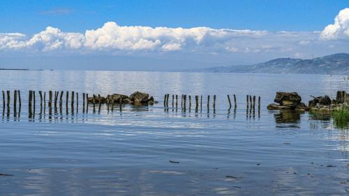 Léman