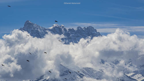 Dents du Midi 