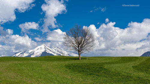 Leysin 