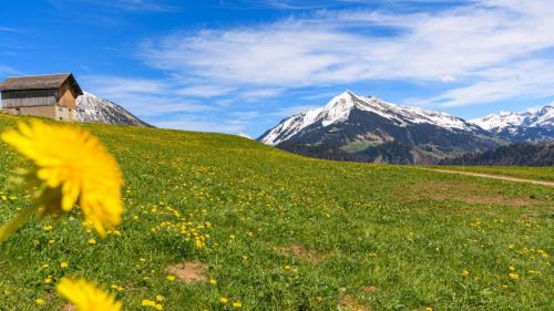 Leysin