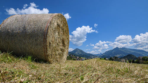 L'été a Leysin 