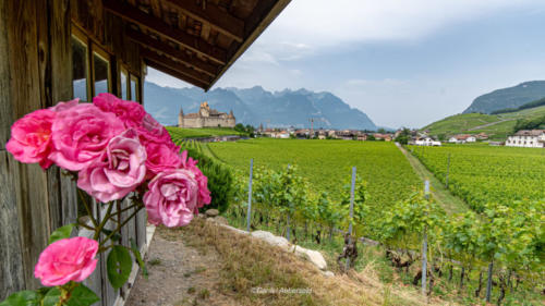 Château d'Aigle