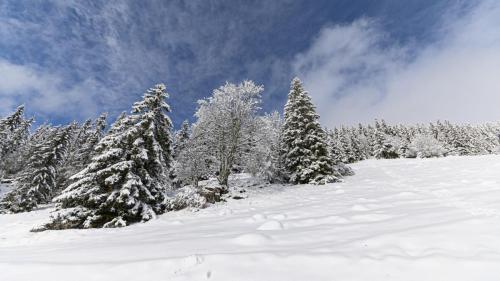 Leysin janvier 2025