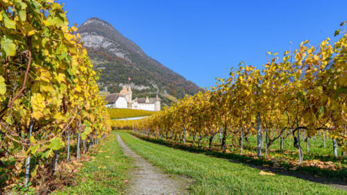 château d'Aigle